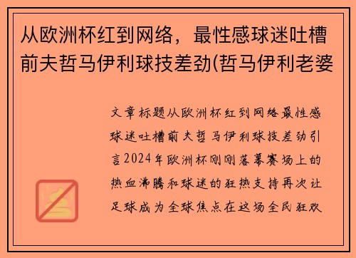 从欧洲杯红到网络，最性感球迷吐槽前夫哲马伊利球技差劲(哲马伊利老婆)