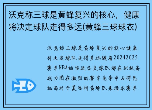 沃克称三球是黄蜂复兴的核心，健康将决定球队走得多远(黄蜂三球球衣)