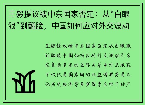 王毅提议被中东国家否定：从“白眼狼”到翻脸，中国如何应对外交波动