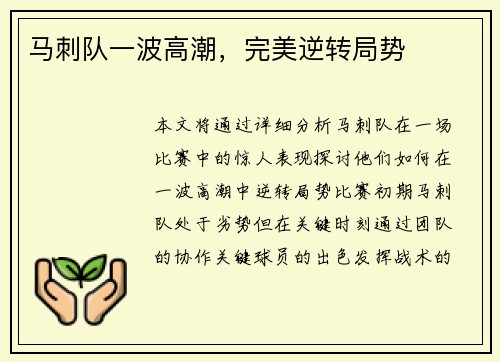 马刺队一波高潮，完美逆转局势