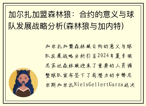 加尔扎加盟森林狼：合约的意义与球队发展战略分析(森林狼与加内特)