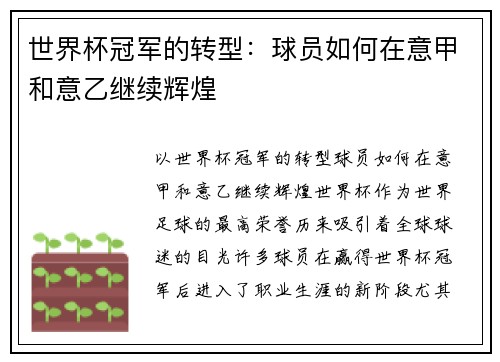 世界杯冠军的转型：球员如何在意甲和意乙继续辉煌